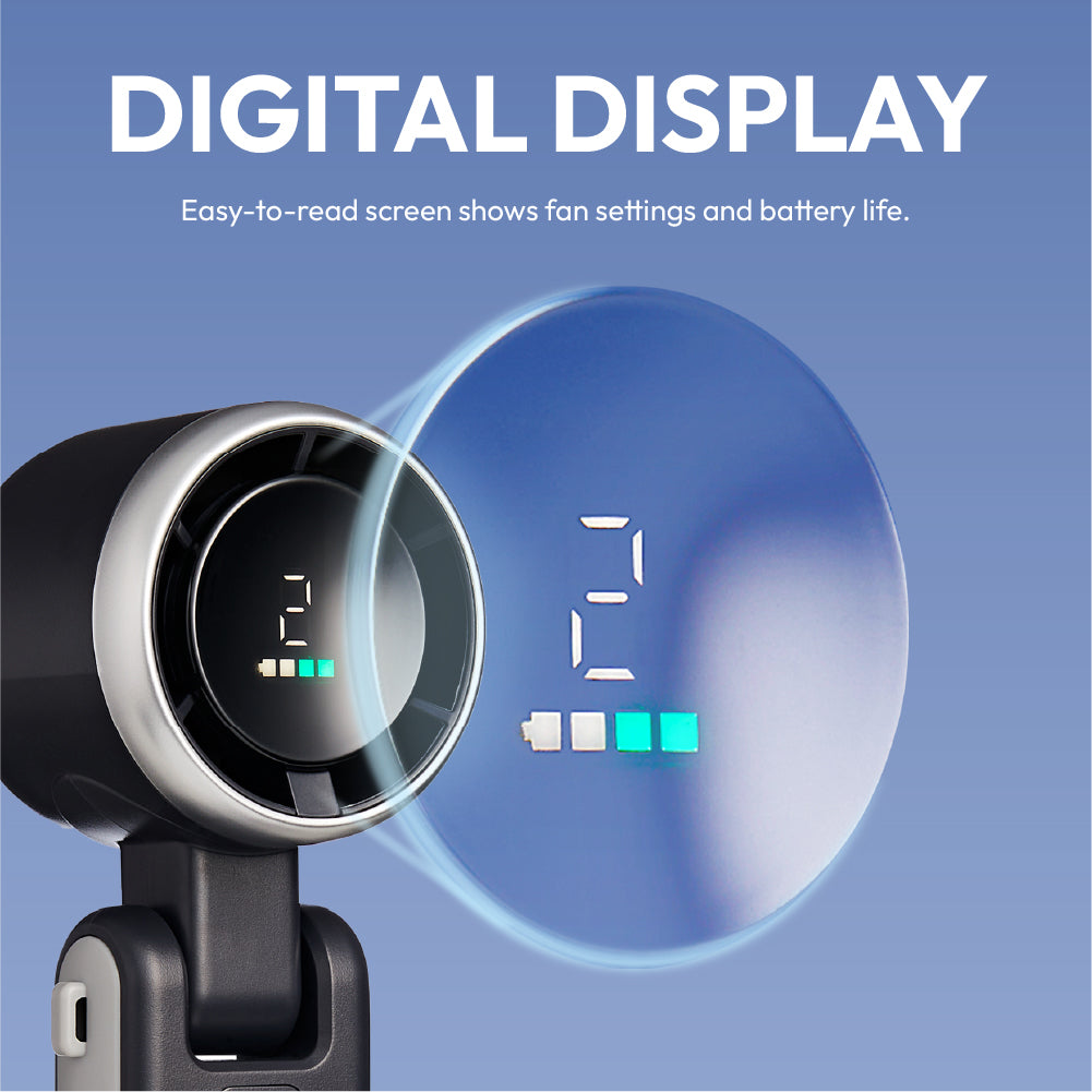 displayall_002